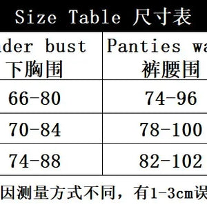 Women's Transparent Lingerie French Style Sexy Flower Embroidered Basic Perspective Exotic Apparel Suit Two-piece Underwear Set