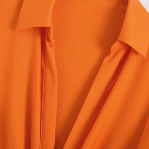 Spring New Elegant Silk Satin Texture Lapel Long Sleeve A- line Shirt Dress for Women