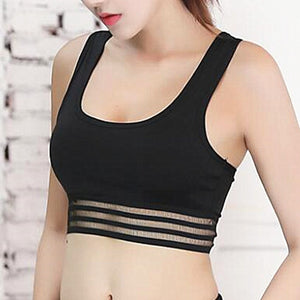 Running Sports Bra Shorts Sleeveless Outfit Tracksuit
