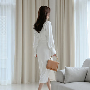 Casual Long Sleeve Office Lady Fashion Dress